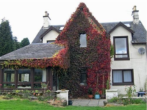 Achnabobane Farmhouse Spean Bridge Extérieur photo